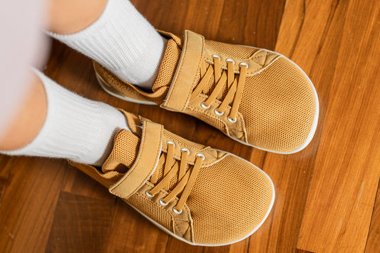 Zapatillas infantil Arena